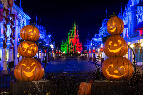 Pumpkins at Mickey's Not-So-Scary Halloween Party