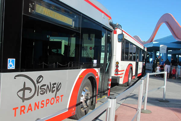 Disney buses